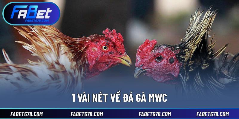 1 vài nét về đá gà MWC
