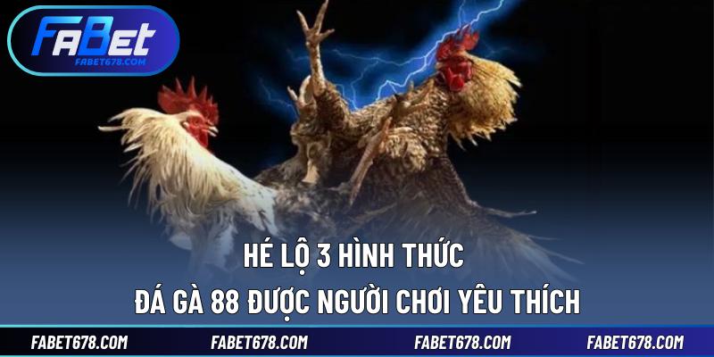 Hé lộ 3 hình thức đá gà 88 được người chơi yêu thích
