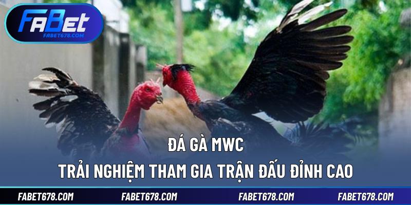 Đá Gà MWC
