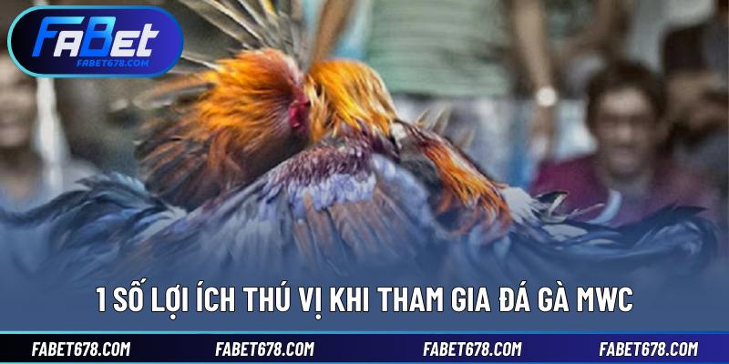 1 số lợi ích thú vị khi tham gia đá gà MWC