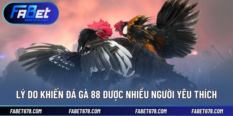 Lý do khiến đá gà 88 được nhiều người yêu thích