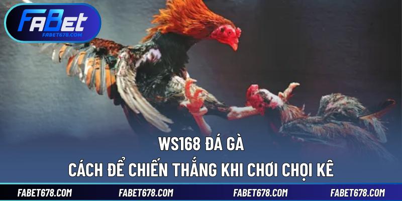 WS168 Đá Gà